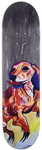 Skateboard TY Segall Rowan Zorilla, 8.25 x 31.875