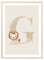 MeinBaby123® Buchstaben Poster DIN A4 Kinderzimmer Mädchen und Junge | Babyzimmer Deko | Bilder Kinderzimmer | Geschenkideen zur Geburt | Geburtsposter | Anfangsbuchstabe Poster G (Löwe - G)