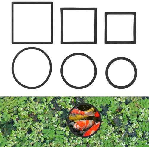 6 Pcs Fish Feeding Rings Set Floating Aquarium Plant Corral, Oval And Square Fish Feeding Rings Floating Plant Ring Fish Tank Feeding Ring Accessories For Betta Fish Tank Aquariums (Black)