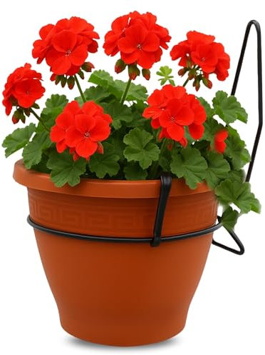 TECHZOCO Macetero con Soporte de Pared, Maceta Redonda plástico, Tiesto Colgar Flores, Fabricado en Polipropileno, Recipiente Pared para Flores, 25 cm diámetro x 14 cm Base x 19.5 cm Alto, Marrón