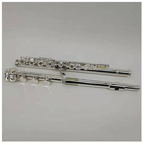PECY Versilberte Flöte Mit 17 Tasten, Offenes Loch, C-Melodie, Flöte, Musikinstrument Mit Etui Querflöten