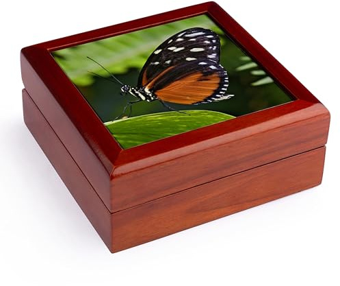 3dRose Tiger Longwing butterfly, Indianapolis, IN - US15 AJE0003 - Adam Jones Jewelry Box 7 x 7 inch with 4 inch tile