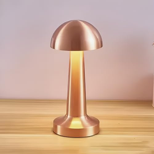 BA-ER Battery Powered Cordless Lamp, Rechargable Battery, Up to 12 Hours Duration, 3 Color Mode for Indoor, Dimmable Bedside Silver Lamp, Chic Restaurants Decor, Dinner/Coffee Shop (Rose)