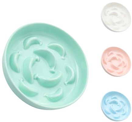 Gamelle Anti Glouton Chat Céramique - Gamelle Chat pour Alimentation Lente Série Pastel - Bol Nourriture Chat Anti Vomissement - Écuelle pour Chat avec Labyrinthe Interactif - Vert Menthe - 16 x 3 cm