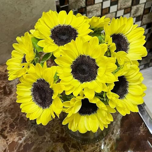 50 piezas semillas de flor de girasol - semillas de flores silvestres semillas de girasol perennes, semillas de bonsái, plantas perennes resistentes girasol, semillas de flores