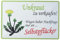 Schatzmix Blechschild Unkraut Metallschild Wanddeko 20x30 cm tin Sign