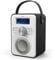 DAB Radio Portable, DAB/DAB Plus Radio, FM Radio, Portable Bluetooth Speaker, Digital Radio with USB Charging for 10 Hours Playback, Bluetooth Stereo Speakers, Rechargeable