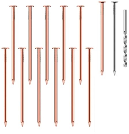 Agmoctz 14-Teiliges Kupfernägel-Set zum Töten Von Bäumen, 3,5 Große Mengen Kupfernägel, Spikes Zur Baumstumpfentfernung, Hardware-Nägel für Bäume
