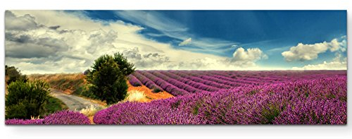 Paul Sinus Art Leinwandbilder | Bilder Leinwand 120x40cm Lavendel Felder bei blauem Himmel