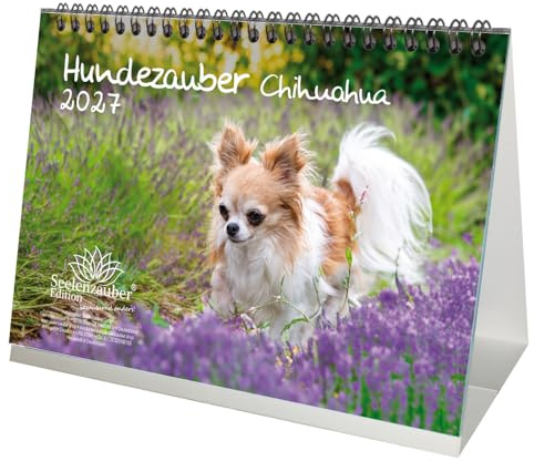 Hundezauber Chihuahua DIN A5 Tischkalender für 2027 Welpen und Hunde - Seelenzauber