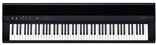 Medeli SP201 Pianoforte Digitale 88 Tasti Hammer Action Graduati Nero