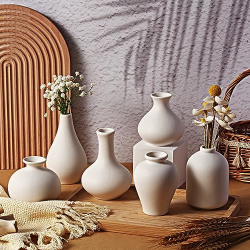 Tioncy Set mit 12 kleinen Keramikvasen, dekorativ, weiß, modern, Mini-Blumenvasen für Couchtisch, Tafelaufsätze, Zuhause, Wohnzimmer, Knospenregal, Eingang, Boho, Vintage, Bauernhaus-Dekor