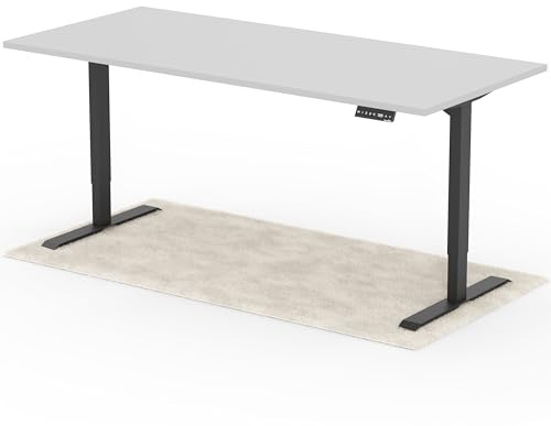Standable Desk Höhenverstellbarer Schreibtisch 200 x 90 cm I elektrischer Office Table mit 4 Speicherstufen I Schreibtisch höheneinstellbar 70-120 cm I ergonomischer Büro-Tisch