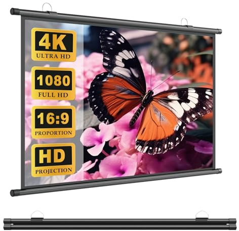 Écran De Projection Manuel Enroulable, 30 40 50 60 72 Toile De Projecteur 4K HD Écran De Cinéma, AntiPlis, Pour Bureau, Conférence, Fête, Maison, École, Présentation(60)