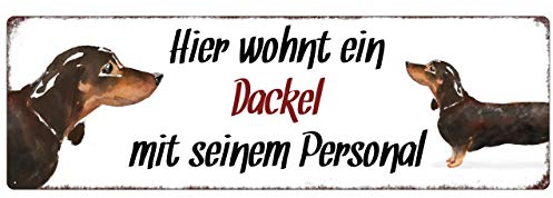 Interluxe Metallschild - Hier wohnt ein Dackel - wetterfestes Türschild, Hundeschild als Geschenk für Menschen mit Hund