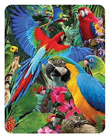 3D LiveLife Magnet - Parrot Pandemonia from Deluxebase. Lenticular 3D Bird Fridge Magnet. Magnetic decor for kids and adults with artwork licensed from renowned artist, David Penfound