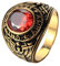 OAKKY Herren Edelstahl Weinlese Amerikanische Soldaten Eagle Set mit Edelstein Ring Rot Gold Überzogen Größe 57 (18.1)