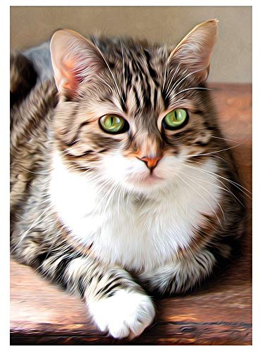 Ideen mit Herz 5D Diamond Painting | Diamant Painting Set | Motiv: 35 x 25 cm | Leinwand: 30 x 40 cm | runde Steinchen | inkl. Zubehör | Verschiedene Bilder zur Auswahl (Katze 2)