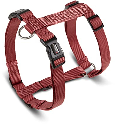 Wolters Geschirr Professional für Mops & Co., Größe:XL 55-80 cm x 25 mm, Farbe:rost rot