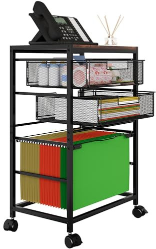 EasyPAG Rollbarer Aktenwagen auf abschließbaren Rädern, Druckerständer mit 2 Schubladen und 1 Hängeregistratur-Ordner, Organizer neben dem Schreibtisch für Büro, Zuhause, Schwarz