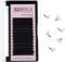 Oreola Easy Fan Lashes D Curl Volume Eyelashes Handmade Auto Fan Fast Blooming Artificial Eye lashes 2D 3D 4D 5D 6D 0.07 15-20mm