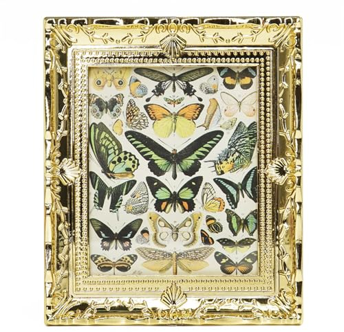 Odoria Puppenhaus Bilderrahmen Vintage Miniatur: 1/12 Maßstab Gemälde Antik Goldene - Mini Wand Bilder mit Rahmen für Wohnzimmer Galerie Schmetterlinge