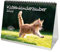 Katzenkinderzauber DIN A5 Tischkalender für 2022 Katzenkinder Katzenbabys - Seelenzauber