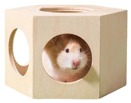 Holzhaus für Hamster | Holzhaus für Hamster – Zubehör für Käfig Habitat und Labyrinth Zubehör Dekoration für Hamster Rennmäuse Meerschweinchen Chinchilla