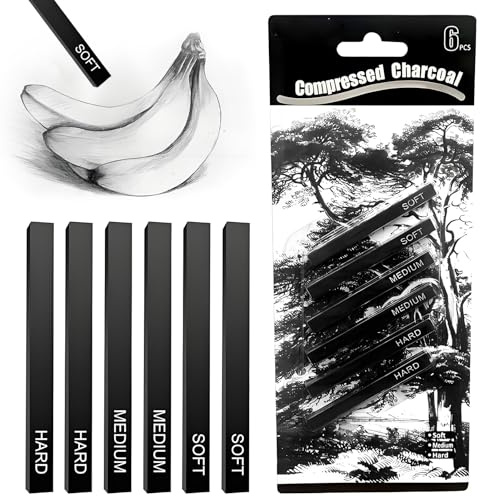 6Pcs Willow Charcoal Sticks for Art, Charcoal Pencils for Artists, Square Compressed Design Suitable for Sketching Shading DIY Crafts Ideal for Beginners & Professional art Supplies