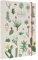 Kokonote: Quaderno Puntinato Botanical Cacti | Quaderno A5 con rilegatura a mano, copertina rigida e chiusura elastica, carta d'avorio 90g/m², ideale come bullet journal o quaderno appunti