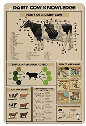 Letrero de metal para pared, diseño de vaca lechera para el hogar, bar, pub, cocina, arte de pared, cueva de hombre, vintage, cartel de metal con citas