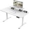 TRIUMPHKEY 120x60cm Electric Standing Desk Height Adjustable Desk With Monitor Hooks Stand Storage Shelf Home Office Sit Stand Study Table With Memory Smart Panel(White)