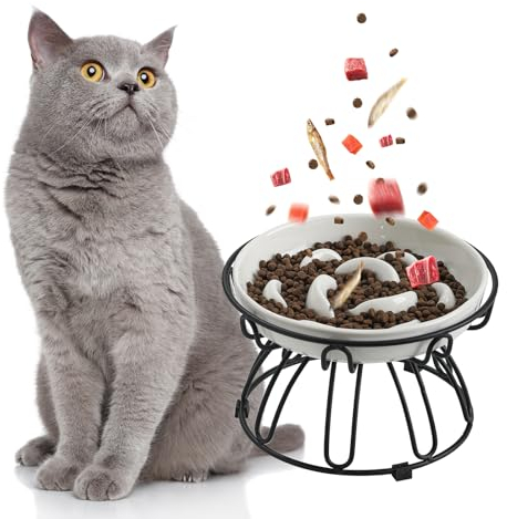 Gamelle Anti Glouton Chat Surélevée - Gamelle Chat Ceramique avec Support en Métal Antidérapant - Bol Nourriture Chat Sureleve Anti Vomissement - Ecuelle Chat pour Alimentation Lente - Blanc Ivoire