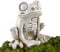 Shitafe Skelettfrösche,Froschskelettmodell | Tierschädel Wohndeko,Dekorative Tierschädel-Froschschädel-Statue für Halloween-Tag der Toten