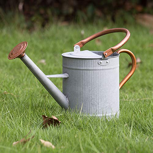 HORTICAN Gießkanne, Gartengießkanne aus Verzinkte Zink, für Innen- und Außenbereich, Blumen, Zimmerpflanzen, Gartengeräte für Bewässerung, Garten, Haus, mit leicht Komfortgriff (3,8 Liter)