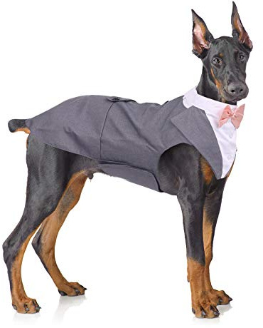 Formeller Smokinganzug für mittelgroße und große Hunde, Smoking-Kostüm, Hochzeitsparty-Outfit mit abnehmbarem Kragen, Elegante Hundebekleidung mit Fliege und Halstuch, Set für Cosplay, Urlaub