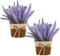 Mini-fleurs artificielles en pot, fausses plantes, fleurs artificielles dans des pots 2pcs petites plantes en plastique de style rustique de lavande artificielle avec de fausses plantes de bonsaï