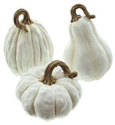 FRANK FLECHTWAREN Kürbis White, im 3er Set, schöne Herbstdeko, ausgefallen, modern