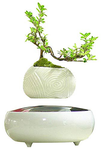 WHR-HARP Lévitation Pot Planteur Flottant Pot de Lévitation Magnétique Pot de Fleurs de Suspension de Bonsaï, Adaptés à la Décoration de Bureau et aux Cadeaux