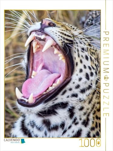 CALVENDO Puzzle Gepard | 1000 Teile Lege-Größe 48 x 64 cm Foto-Puzzle für glückliche Stunden