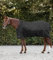 Waldhausen Outdoordecke Nordic, High Neck 200 g, schwarz, 165 cm