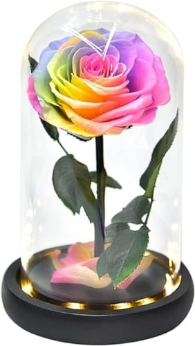 YIHANSS Rosa in Cupola di Vetro Rosa eterna LED Fiori conservati di Notte Regalo per la Decorazione Donne Moglie Fidanzata Compleanno (Colore : Rosso) (Blu) Rosa eterna (Multicolore)