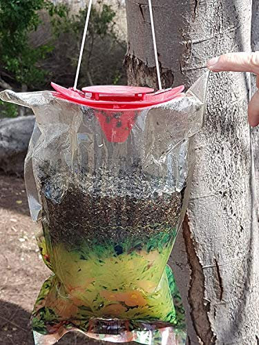 Piège à mouches Bricoloco avec appât puissant et sans véène anti-mouches super efficace piège jusqu'à 50 000 mouches. Facile à utiliser (2)