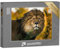 puzzleYOU: Puzzle 1000 Teile „König der Löwen: Porträt“ – aus der Puzzle-Kollektion Löwen, Raubtiere, Tiere in Savanne & Wüste