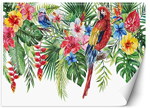 Feeby Papier Peint Intissé Fleurs Feuilles Ara perroquet Monstera 350x245 cm multicolore XXL Moderne Décoration Murale Tableaux Muraux Tapisserie Salon Chambre à coucher Tropiques Exotique Feuilles