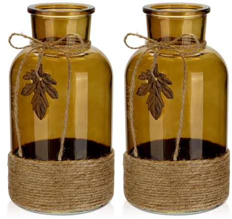 Briful Lot de 2 grands vases en verre avec corde de jute pour la décoration de la maison et de la cuisine