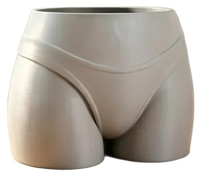 Funny Briefs Pot de fleurs moderne et humoristique – Récipient pour plantes d'intérieur et de bureau – Gris