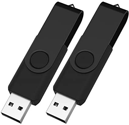 Vixelle 2 Pack 1GB USB Stick All-Black USB Flash Drive – Stylish 360° Metal Swivel USB Memory Sticks with Keychain Loop – Portable USB Pen Drive Bulk Pack for PC, Mac, TV, Car Audio, Video