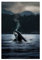 NEDOES Wunderschönes Orca-Leinwand-Poster, Schlafzimmer, Dekoration, Sport, Landschaft, Büro, Raumdekoration, Geschenk, ungerahmt, 30 x 45 cm