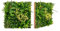 COSTWAY Pannelli da Parete per Piante Artificiali 50 x 50 cm, 2 Pezzi Finti Piatti per Piante con Foglie da Interno ed Esterno, Decorazioni da Pareti, Balconi, Giardini e Matrimoni (Stile 2)